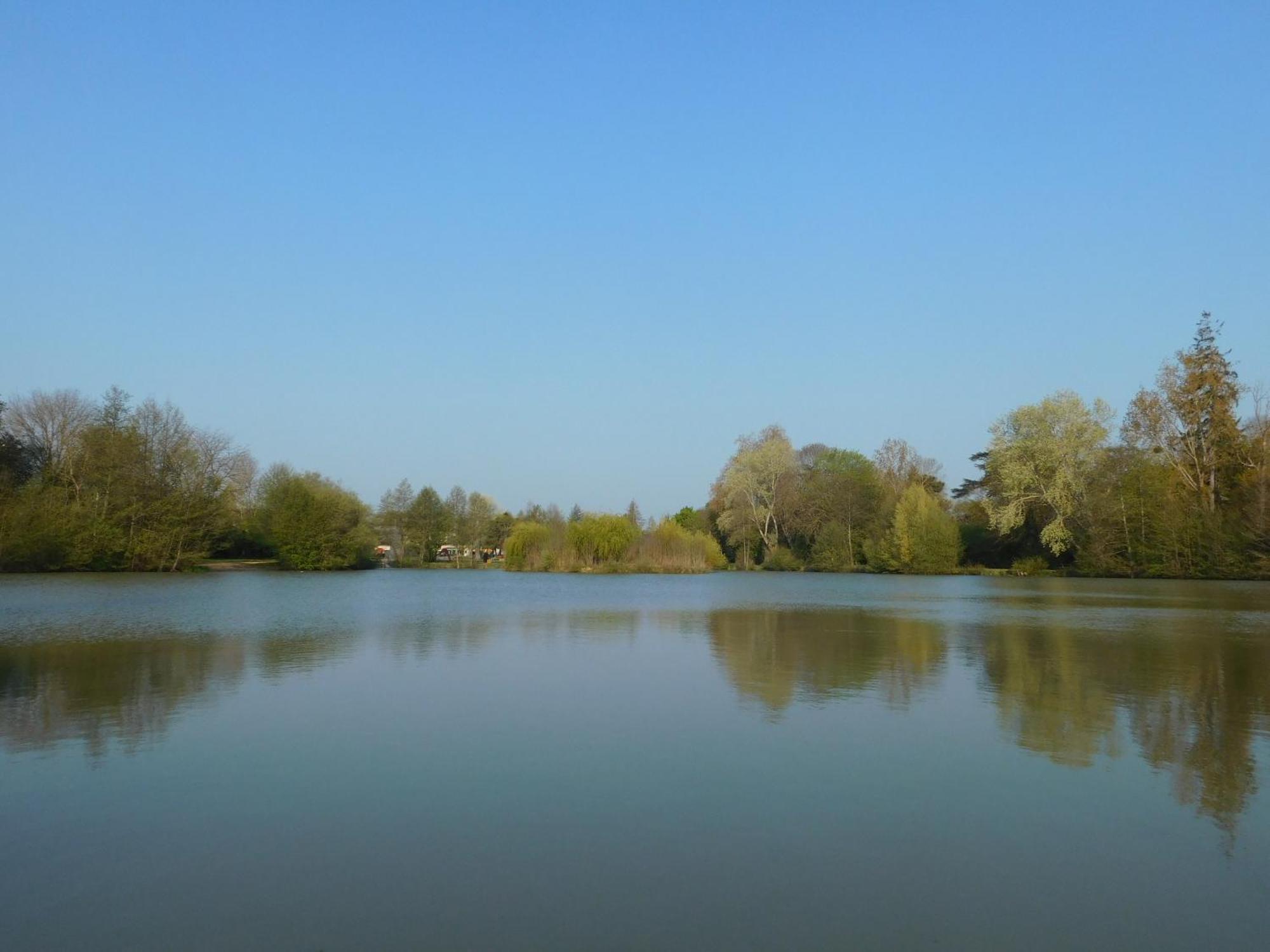Village De Gites Nature Et Jardin Bouere Buitenkant foto